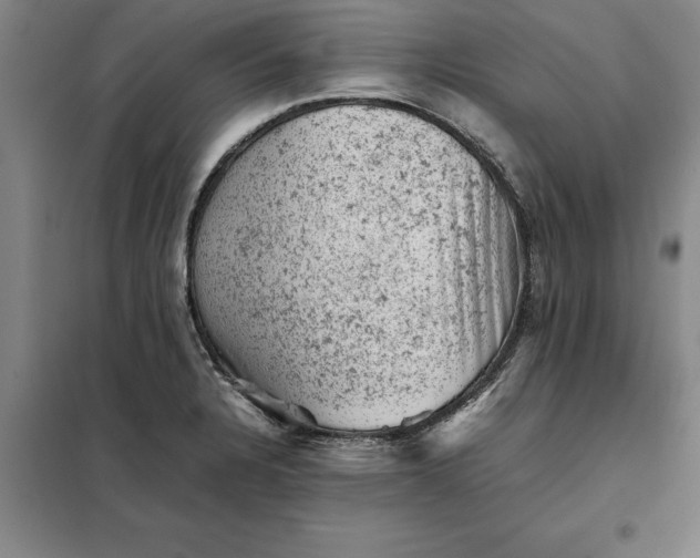 X0000098161328200805011421