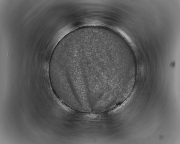 X0000098161329200805011421