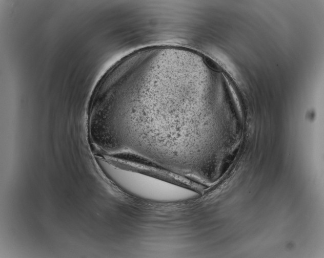 X0000098161332200805011421