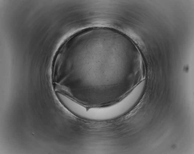 X0000098161334200805011421