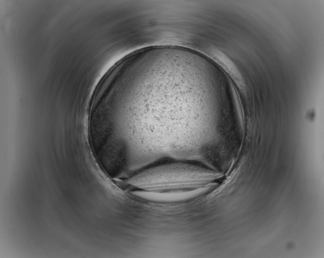 X0000098161340200805011422