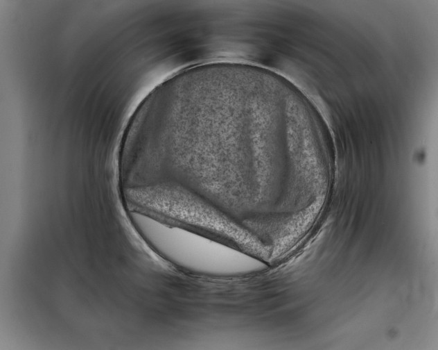 X0000098161341200805011422