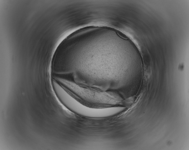 X0000098161343200805011422
