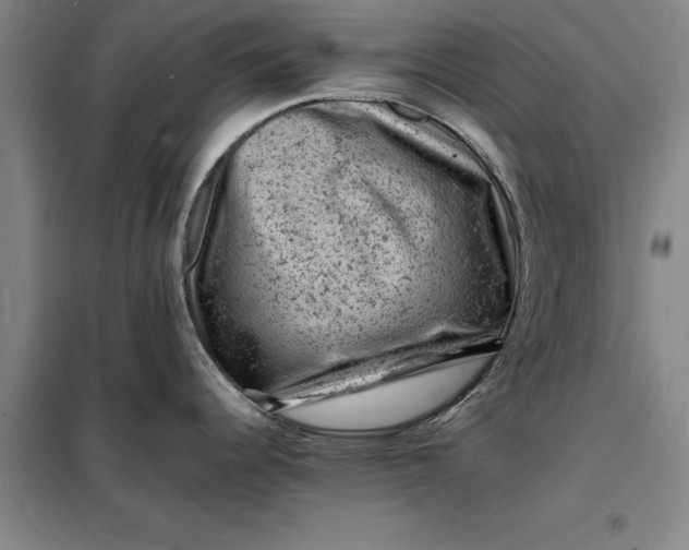 X0000098161344200805011422