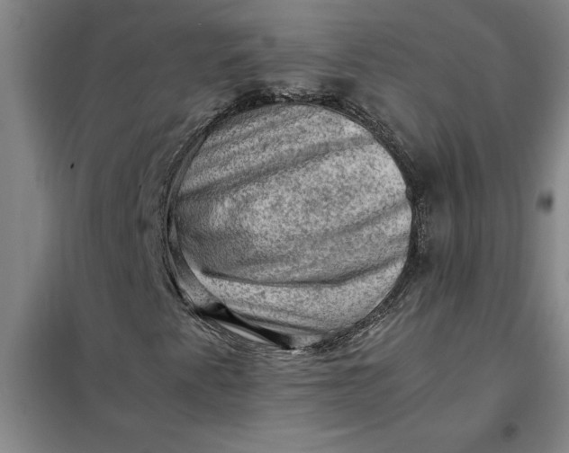 X0000098161345200805011421