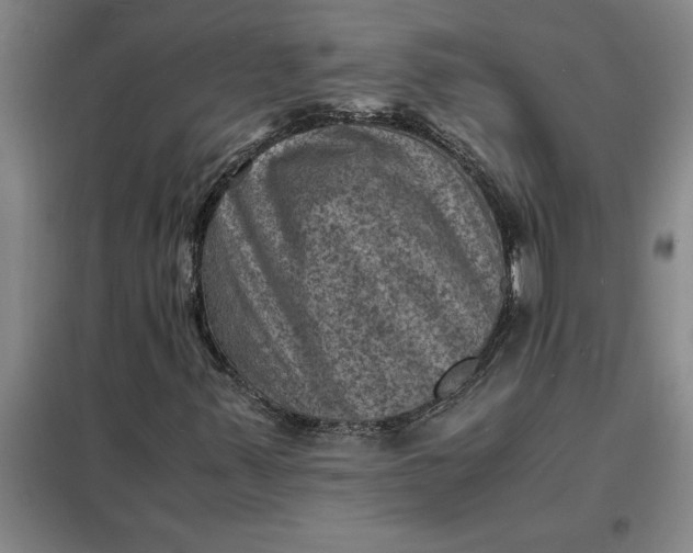 X0000098161347200805011421