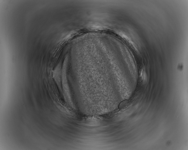 X0000098161348200805011421