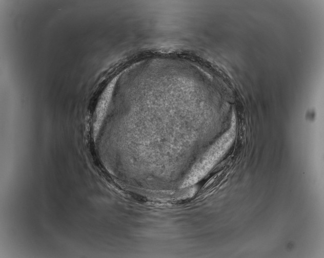 X0000098161349200805011421