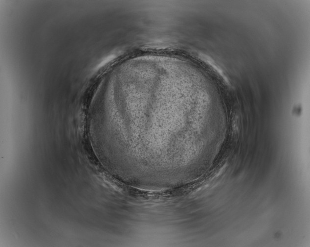 X0000098161350200805011421