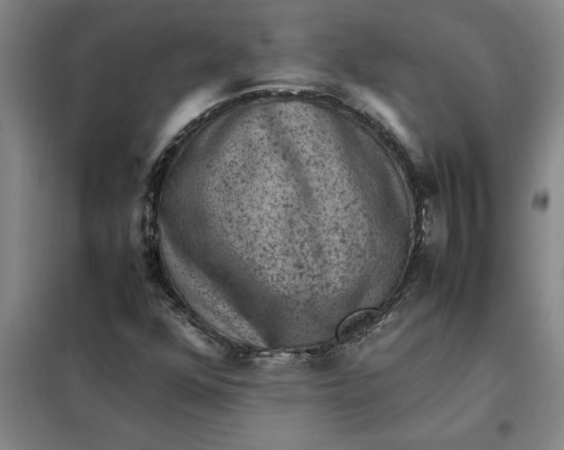X0000098161352200805011421