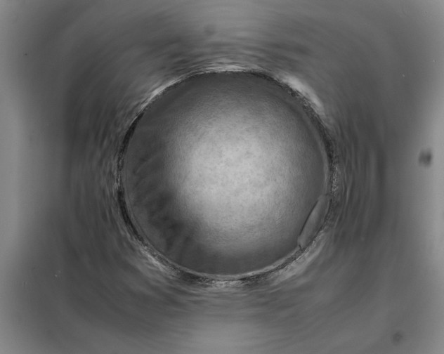 X0000098161353200805011421
