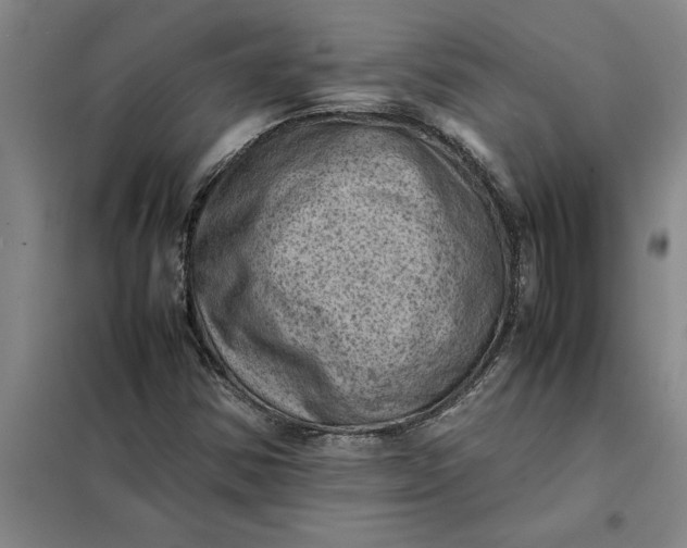 X0000098161354200805011421