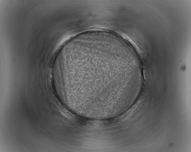 X0000098161355200805011421