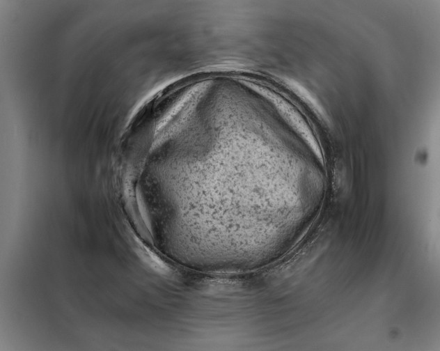 X0000098161356200805011421