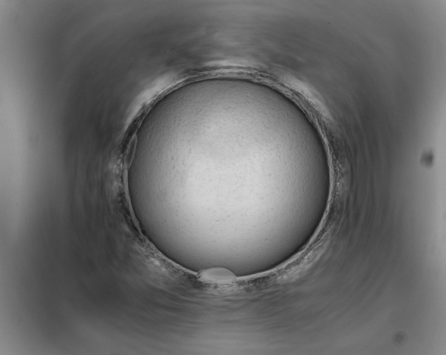 X0000098161357200805011421