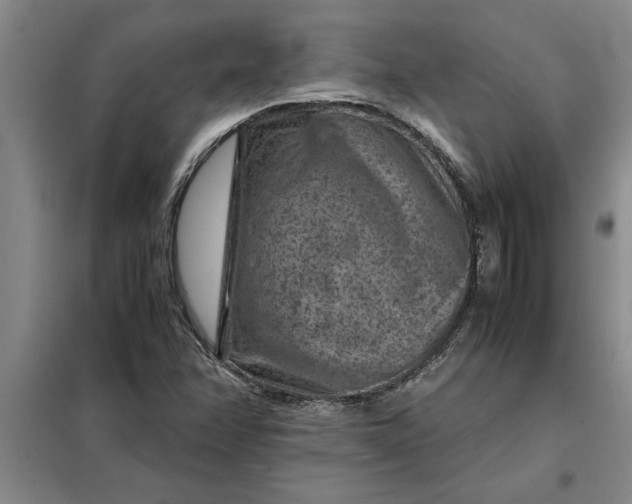 X0000098161358200805011421
