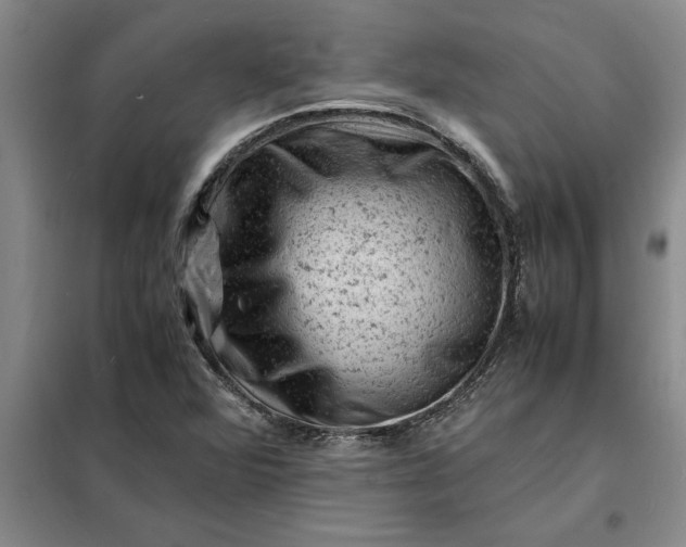 X0000098161360200805011421