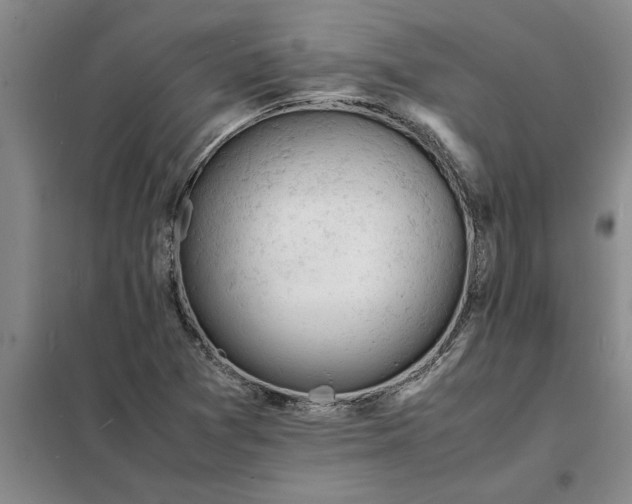 X0000098161361200805011421