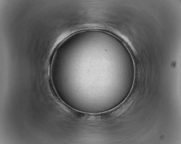 X0000098161365200805011421