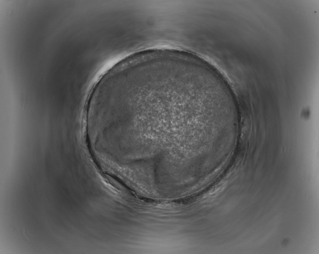 X0000098161367200805011421