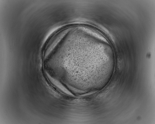 X0000098161368200805011421