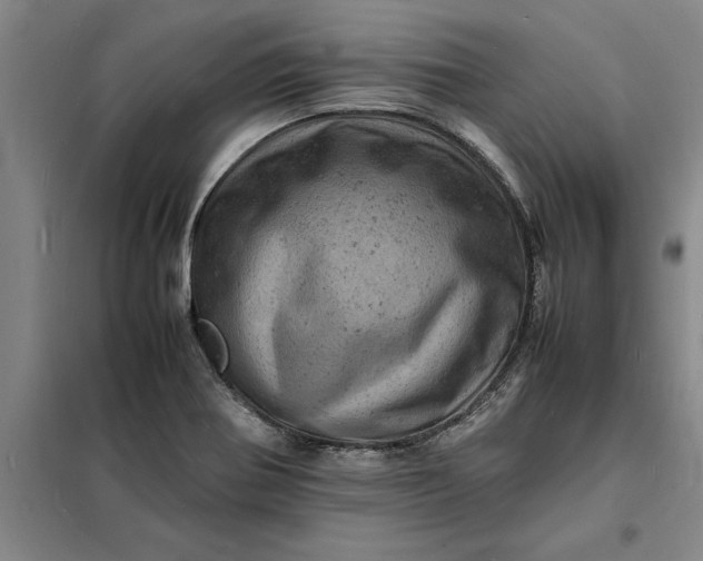 X0000098161370200805011421