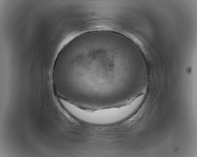X0000098161373200805011421