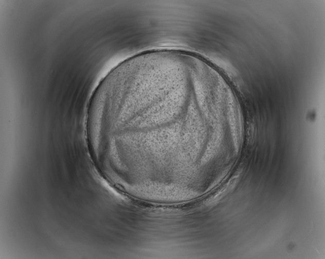 X0000098161374200805011421