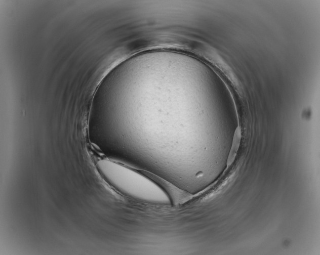 X0000098161377200805011421
