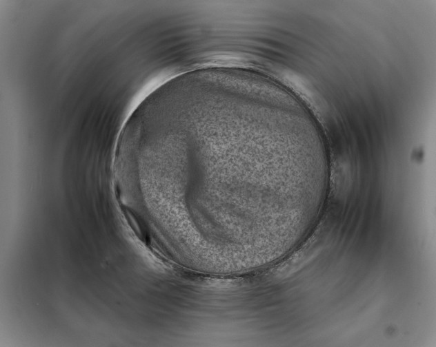 X0000098161378200805011421