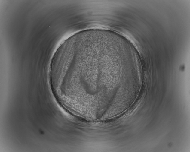 X0000098161379200805011420