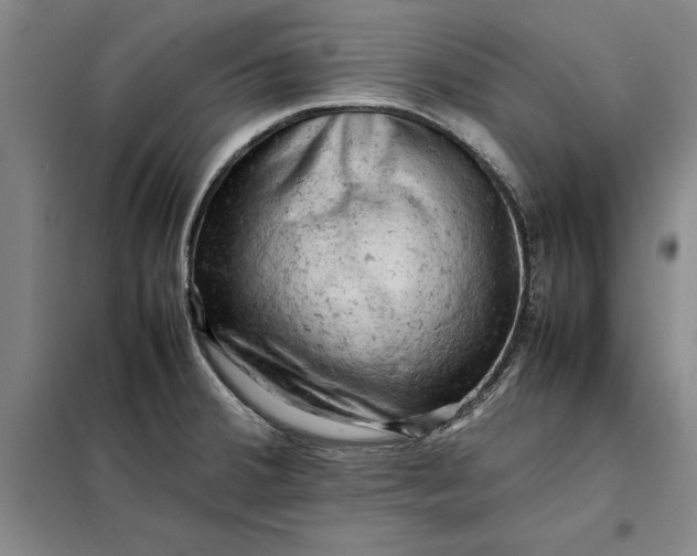 X0000098161380200805011420