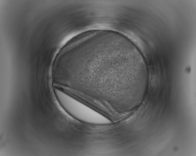 X0000098161382200805011420