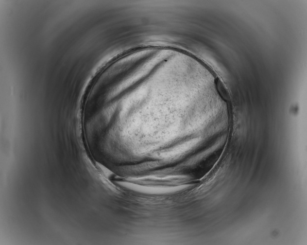 X0000098161384200805011420