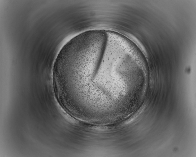 X0000098161388200805011420