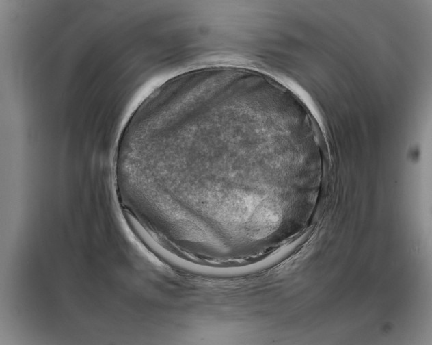 X0000098161389200805011420