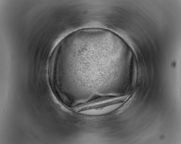 X0000098161390200805011420