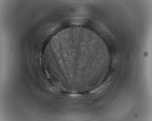 X0000098161394200805011420