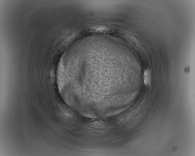 X0000098161395200805011420