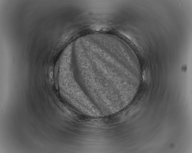 X0000098161396200805011420