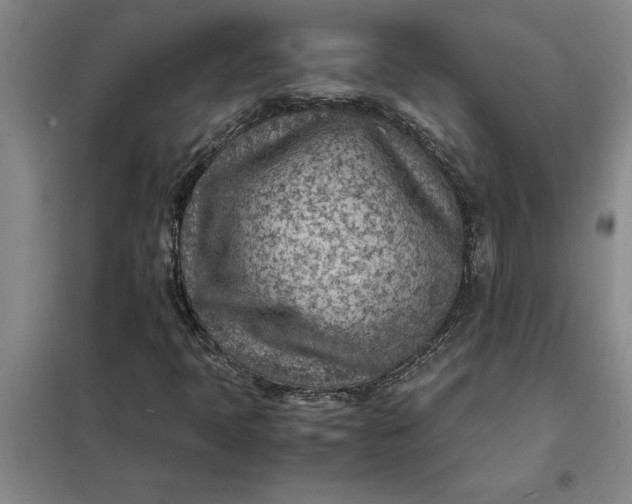 X0000098161397200805011420