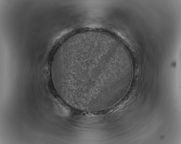 X0000098161398200805011420
