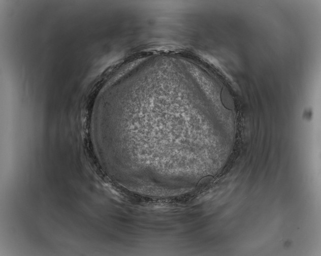 X0000098161399200805011420
