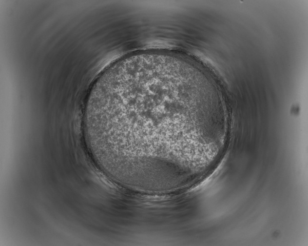 X0000098161401200805011420
