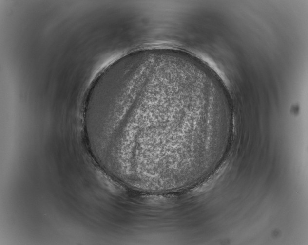 X0000098161405200805011420