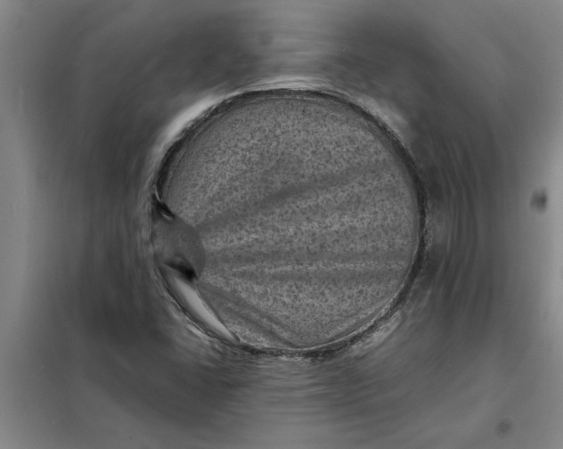 X0000098161406200805011420