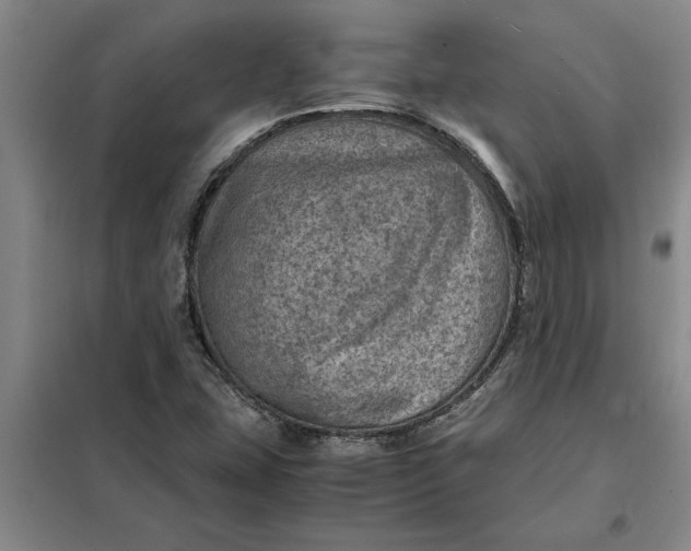 X0000098161407200805011420