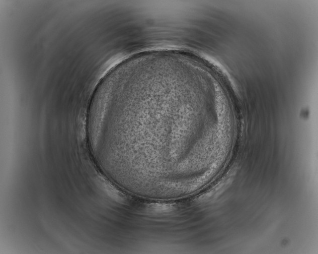 X0000098161409200805011420