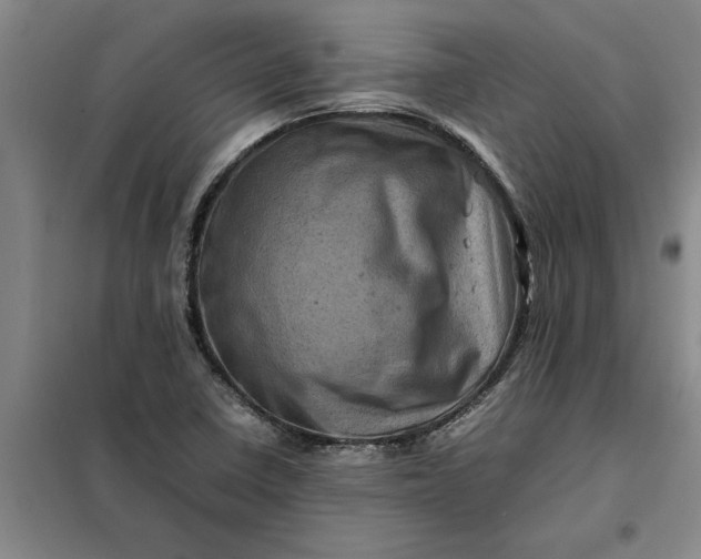 X0000098161410200805011420