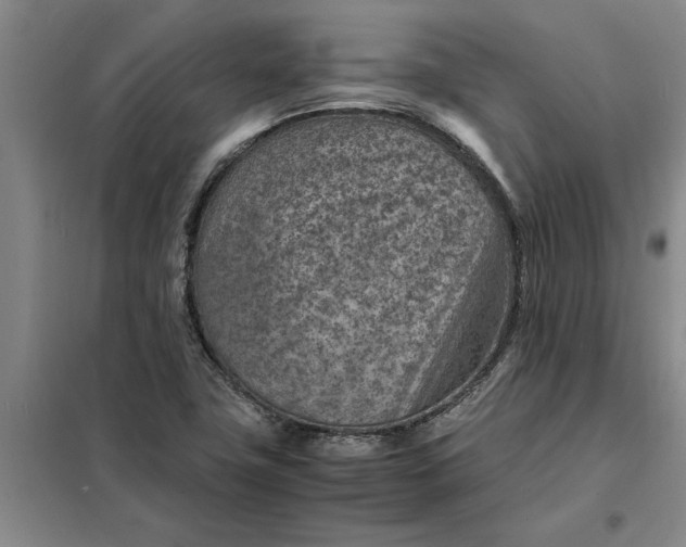 X0000098161411200805011420